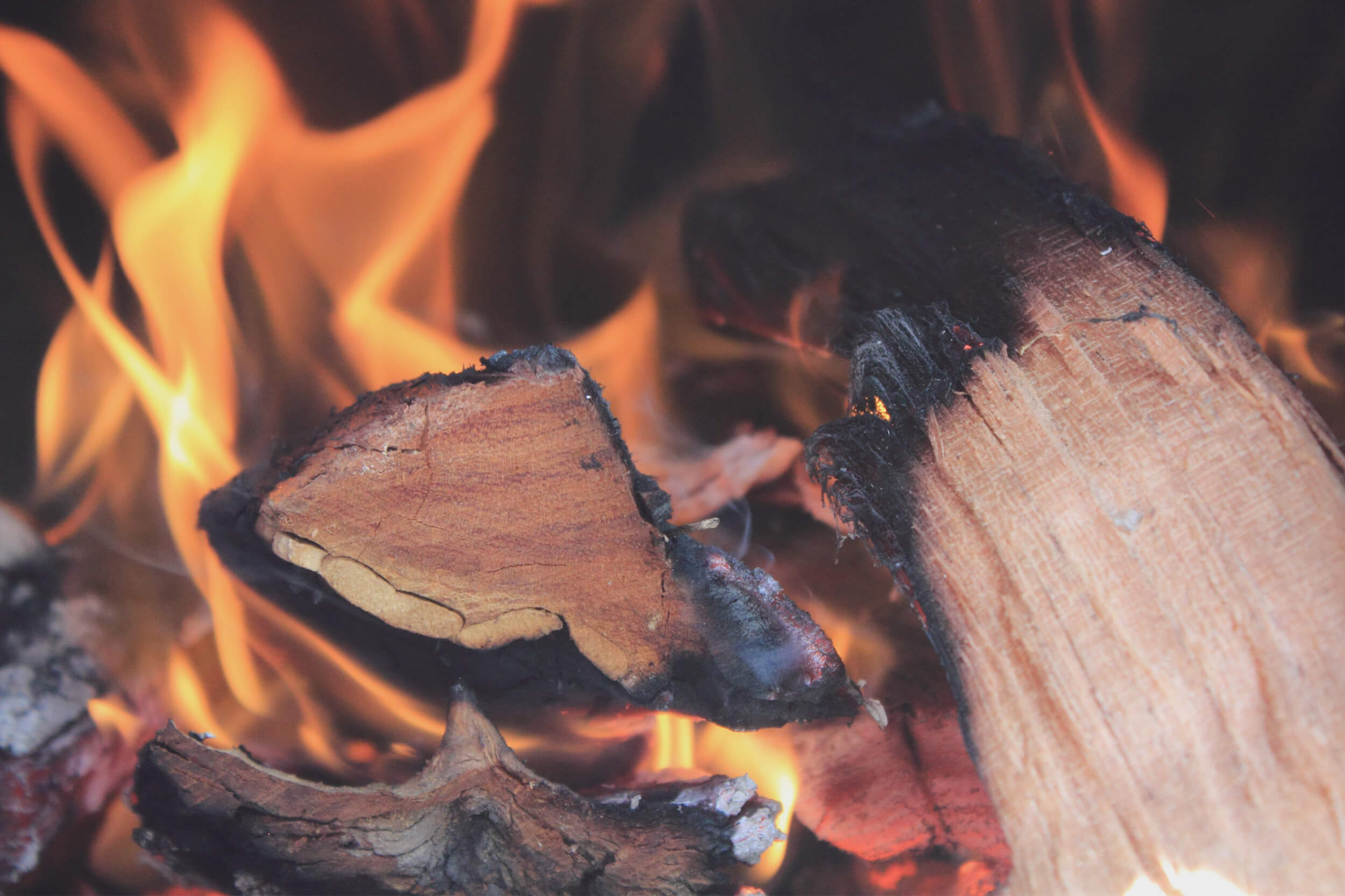 accendere il fuoco nella stufa a legna o caminetto